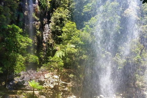 Full-Day Guided Sightseeing Tour Of The Gold Coast Waterfalls - Accommodation Sunshine Coast 2