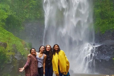 Full-Day Guided Sightseeing Tour Of The Gold Coast Waterfalls - Accommodation Sunshine Coast 0