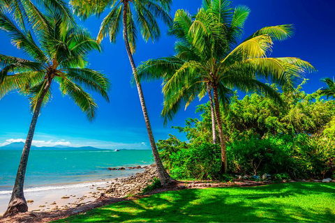 SHUTTLE - Port Douglas And Craiglie Return Transfer - Accommodation Sunshine Coast 2