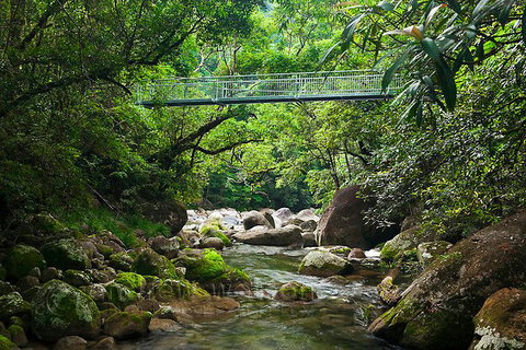 SHUTTLE - Mossman Gorge & Cooya Beach From Port Douglas (Return Transfer) - Accommodation Sunshine Coast 4