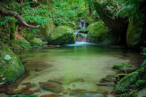 SHUTTLE - Mossman Gorge & Cooya Beach From Port Douglas (Return Transfer) - Accommodation Sunshine Coast 2