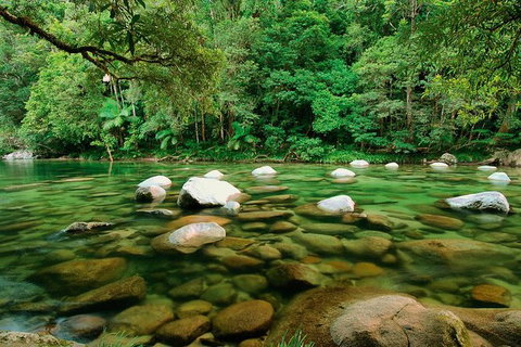 SHUTTLE - Mossman Gorge & Cooya Beach From Port Douglas (Return Transfer) - Accommodation Sunshine Coast 3