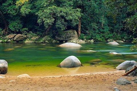 SHUTTLE - Mossman Gorge & Cooya Beach From Port Douglas (Return Transfer) - Accommodation Sunshine Coast 1