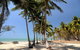 SHUTTLE - Thala Beach And Turtle Cove From Port Douglas (Return Transfer) - thumb 2
