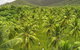 SHUTTLE - Thala Beach And Turtle Cove From Port Douglas (Return Transfer) - thumb 1