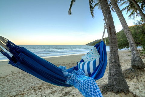 SHUTTLE - Thala Beach And Turtle Cove From Port Douglas (Return Transfer) - Accommodation Sunshine Coast 3