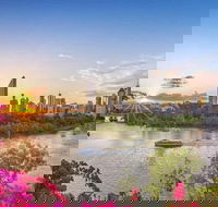 Day Tour in Queenslands Capital City Brisbane - Accommodation Sunshine Coast