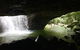 Springbrook Full Day Tour - thumb 5