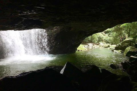 Springbrook Full Day Tour - Accommodation Sunshine Coast 5