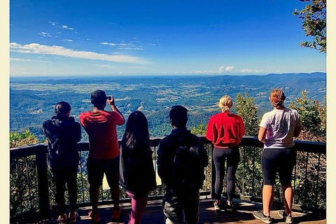 Springbrook Full Day Tour - Accommodation Sunshine Coast 3