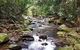 Springbrook Full Day Tour - thumb 4