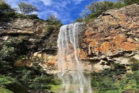 Springbrook Full Day Tour - Accommodation Sunshine Coast 1