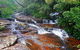 Springbrook Full Day Tour - thumb 0