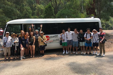 Private 24 Seat Mini Bus Brisbane CBD To A GC Theme Park Transfer - Accommodation Sunshine Coast 4