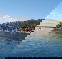 Private Full-Day Guided Tour Russell Lamb Macleay and Karragarra Islands - Accommodation Sunshine Coast