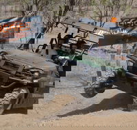 Buggy Experience in Australia - Accommodation Sunshine Coast