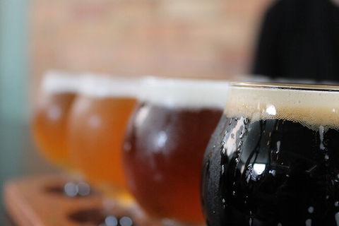 Brisbane Half-Day Private Brewery Tour - Accommodation Sunshine Coast 7
