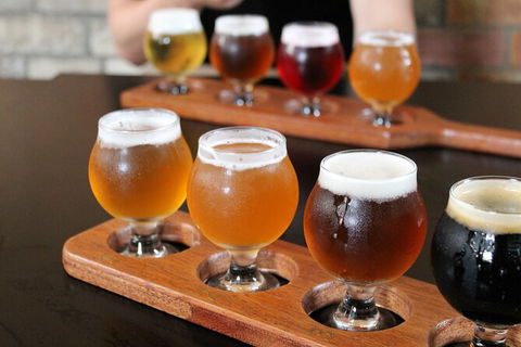 Brisbane Half-Day Private Brewery Tour - Accommodation Sunshine Coast 3