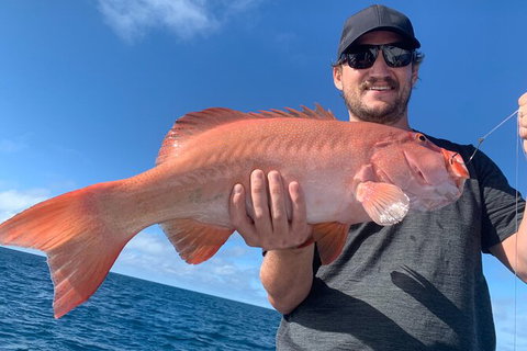 Great Barrier Reef Fishing Charter - Accommodation Sunshine Coast 3