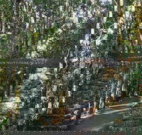 O'Reilly's and Binna Burra Full-Day Tour - Lamington National Park - Accommodation Sunshine Coast