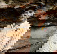 Half Day Aboriginal Rock Art Experience in Queensland - Accommodation Sunshine Coast