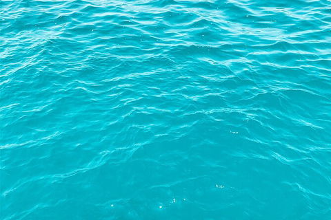 5 Night Bareboat Onboard Cattitude - Accommodation Sunshine Coast 2