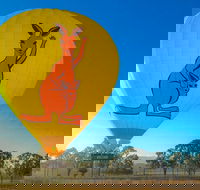 Hot Air Ballooning Tour from Northern Beaches near Cairns - Accommodation Sunshine Coast