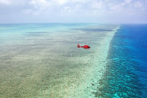 Day Tour To Kuranda, Rainforest And Port Douglas With Flight - Accommodation Sunshine Coast 3