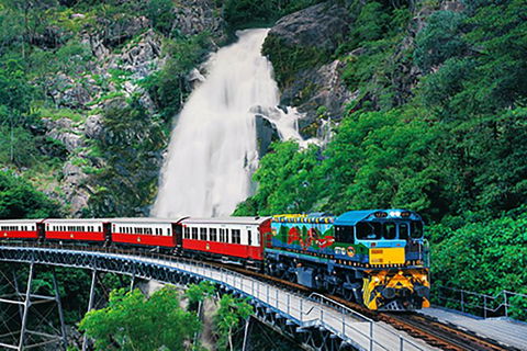 Day Tour To Kuranda, Rainforest And Port Douglas With Flight - Accommodation Sunshine Coast 4