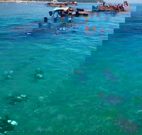 Adventure Moreton Island Scuba Dive Tour - Accommodation Sunshine Coast