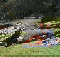 Mt Tamborine - Hinterland Wonders Self Guided - Accommodation Sunshine Coast