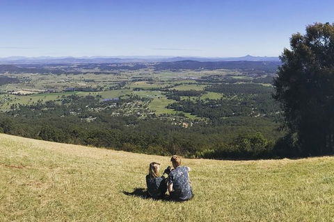 Mt Tamborine - Hinterland Wonders Self Guided - Accommodation Sunshine Coast 2