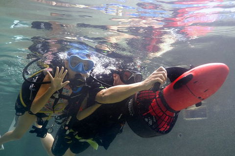 Scuba Kids- Padi Bubblemaker Course - Accommodation Sunshine Coast 2