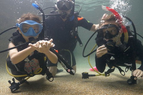 Scuba Kids- Padi Bubblemaker Course - Accommodation Sunshine Coast 4