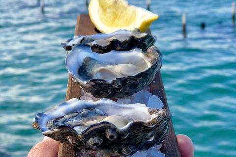 Coffin Bay Oysters, Ocean & Nature Tour - Accommodation Sunshine Coast 0