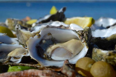 Coffin Bay Oysters, Ocean & Nature Tour - Accommodation Sunshine Coast 8