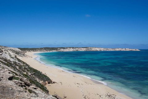 Coffin Bay Oysters, Ocean & Nature Tour - Accommodation Sunshine Coast 16
