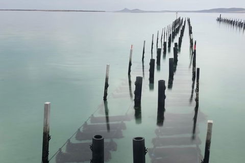 Coffin Bay Oysters, Ocean & Nature Tour - Accommodation Sunshine Coast 15