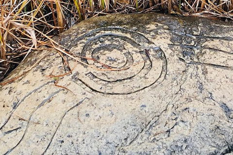 Adelaide Cultural Safari - Private Charters - Accommodation Sunshine Coast 2