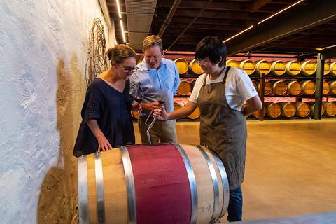 Yalumba Signature Tour - Accommodation Sunshine Coast 6