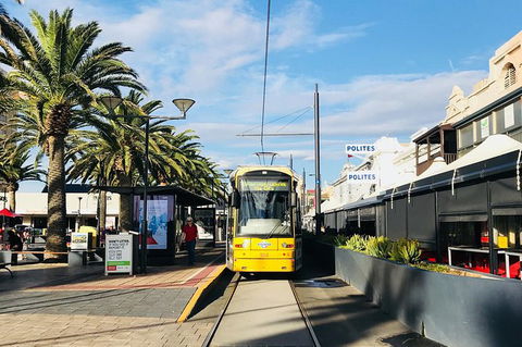 Adelaide Driving Tour - Accommodation Sunshine Coast 2