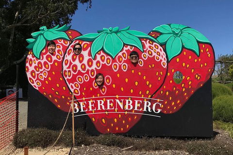 Adelaide Driving Tour - Accommodation Sunshine Coast 1