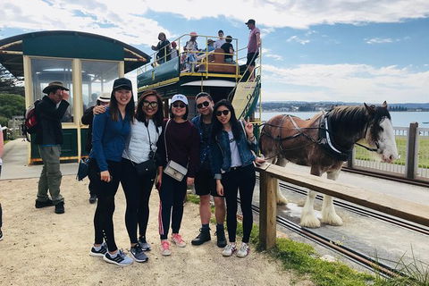 Adelaide Driving Tour - Accommodation Sunshine Coast 3