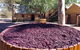 Barossa Valley Private Day Tour - thumb 6