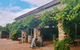 Barossa Valley Private Day Tour - thumb 8