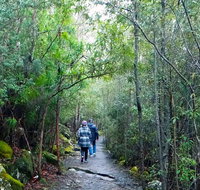 kunanyi/Mt Wellington Explorer Bus - One Way Tour - Accommodation Sunshine Coast