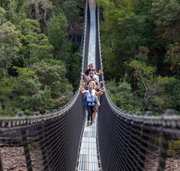 Tahune Airwalk Active Day Trip from Hobart Including Hastings Caves - Accommodation Sunshine Coast