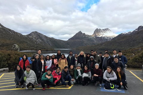 Shore Excursion - Cradle Mountain Day Tour From Burnie - Accommodation Sunshine Coast 4