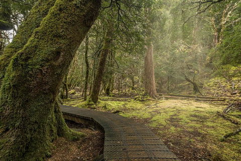 Shore Excursion - Cradle Mountain Day Tour From Burnie - Accommodation Sunshine Coast 3