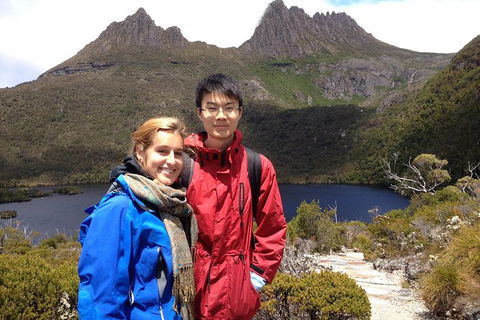 Shore Excursion To Cradle Mountain From Burnie ( Cruise Ship Favourite) - Accommodation Sunshine Coast 1